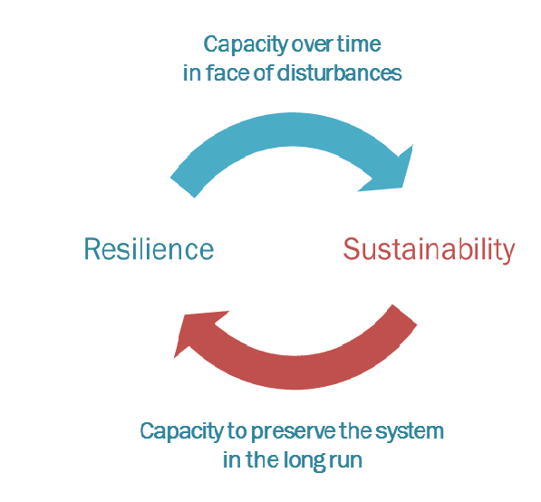 Resilience And Sustainability – Enhancing Resilience In Food Systems ...