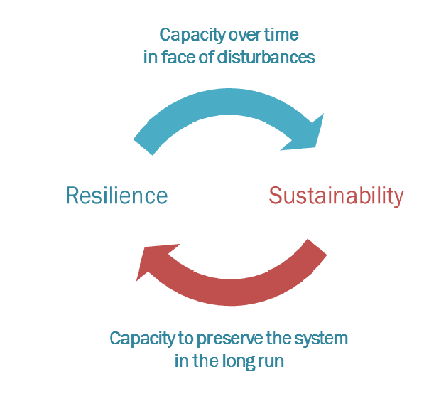 related concepts, resilience and sustainability